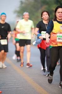 BIB: 4796
                            <button type="button" onclick="openModal(9028176)" class="btn btn-primary btn-sm float-right btn-popup" data-toggle="modal" data-target=".modal-high-quality">
                        <i class="fas fa-shopping-cart"></i> Add to Cart
                    </button>
                                            <button type="button" onclick="isThisMe(9028176, true)" class="btn btn-success btn-sm float-right btn-popup btn-isme hidden" data-toggle="tooltip" data-placement="bottom" title="นี่คือรูปของคุณใช่ไหม คลิกที่นี่เพื่อเอาเข้าอัลบั้ม">
                        <i class="fas fa-plus"></i> Add to album
                    </button>
                    <button type="button" onclick="isThisMe(9028176, false)" class="btn btn-warning btn-sm float-right btn-popup btn-isnotme hidden">
                        <i class="fas fa-ban"></i> Remove from album
                    </button>